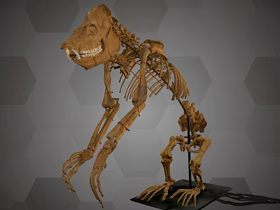 Skeleton Of Large Prehistoric Animal With Sharp Teeth And Long Limbs On 3d model