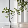 Transparent Glass Vases with Green Branches on Light Wooden White Shelf Against Vertical Striped Wall