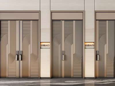 Modern Residential Entrance Doors With Metallic Texture And Geometric Line Decorations 3d model