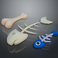 Various Food Bones Display With Meat Bones Fish Skeleton And Blue Cross Design