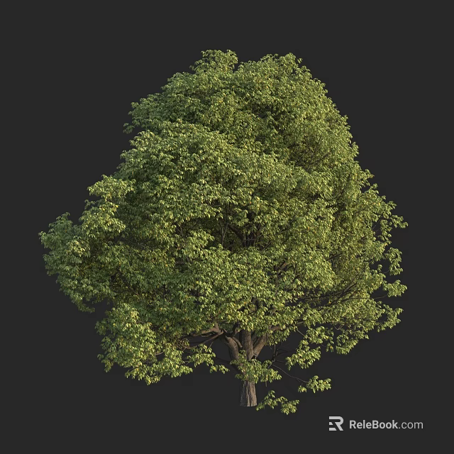Lush Green Arbor With Dense Foliage And Strong Trunk Structure 3d model 