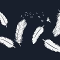 White Feathers and Flying Birds Design Wall Decor on Dark Background