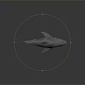 Gray Shark 3D Model With Open Mouth Fins On Dark Background Reflection