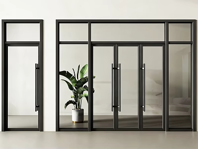 Modern Black Frame Glass Double Doors In Interior With Green Plant 3d model