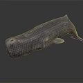 Gray Whale 3D Model with Sleek Surface Side View on Dark Background 3d model