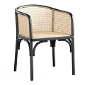 Modern Leisure Chair With Rattan Backrest And Black Metal Frame