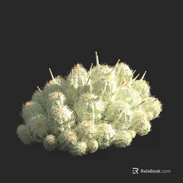 Clustered Small Round Spiny Green Succulent Bonsai Plant In Pot 3d model 