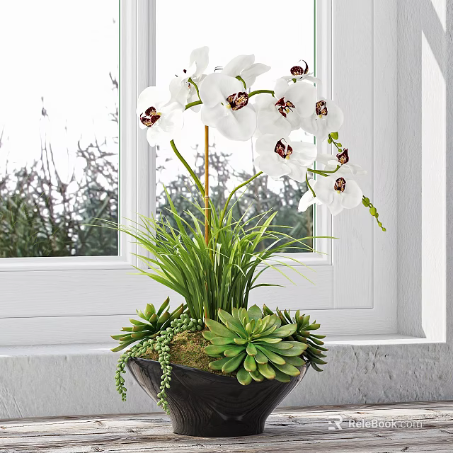 Decorative Bonsai Potted Plant with White Orchids and Green Succulents on Indoor Window Sill 3d model 