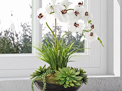 Decorative Bonsai Potted Plant with White Orchids and Green Succulents on Indoor Window Sill 3d model