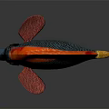 Vibrant Tropical Fish with Red Black Body Golden Tail and Net Like Scales