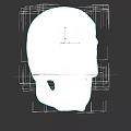 White Human Skull 3D Model Isolated On Black Background With Detailed Features