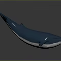 Realistic Blue Whale Model Displayed On Gray Background With Shiny Reflection 3d model