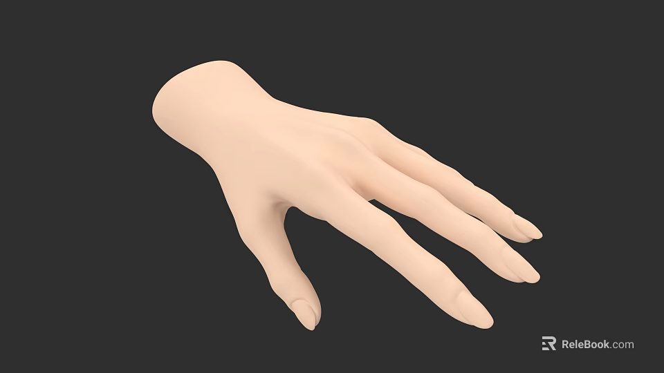 3D Model of Human Hand with Extended Fingers and Realistic Skin Texture 3d model 