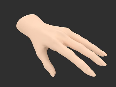 3D Model of Human Hand with Extended Fingers and Realistic Skin Texture 3d model