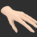 3D Model of Human Hand with Extended Fingers and Realistic Skin Texture