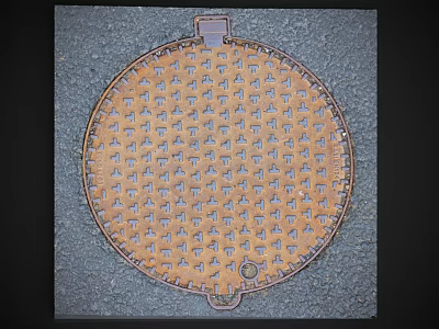 Circular Brown Manhole Cover With Intricate Surface Patterns On Gray Pavement 3d model