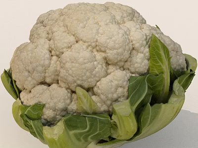 Fresh White Cauliflower Head With Green Outer Leaves And Natural Freshness 3d model