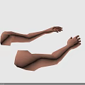 Realistic Human Arms And Hands Anatomical 3D Model Rendering On Black Background 3d model