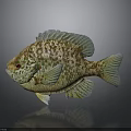 Colorful Fish With Shiny Scales Green Gold Brown 3D Rendered On Dark Background