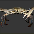 Detailed Green And Brown Crab With Large Claws And Colorful Legs