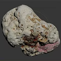 Natural White Stone With Red And Pink Inclusions And Detailed Textured Surface