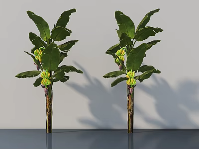 Banana Trees With Green Leaves And Yellow Bananas Against Gray Wall And Floor With Shadows 3d model