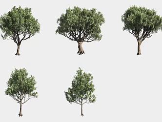 carob tree landscape tree italian plant 3d model