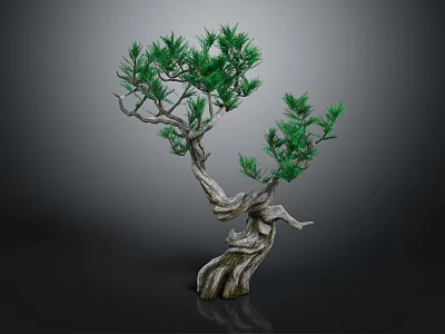 Artistic Bonsai Tree Decorative Indoor Furniture With Curved Trunk And Green Foliage 3d model