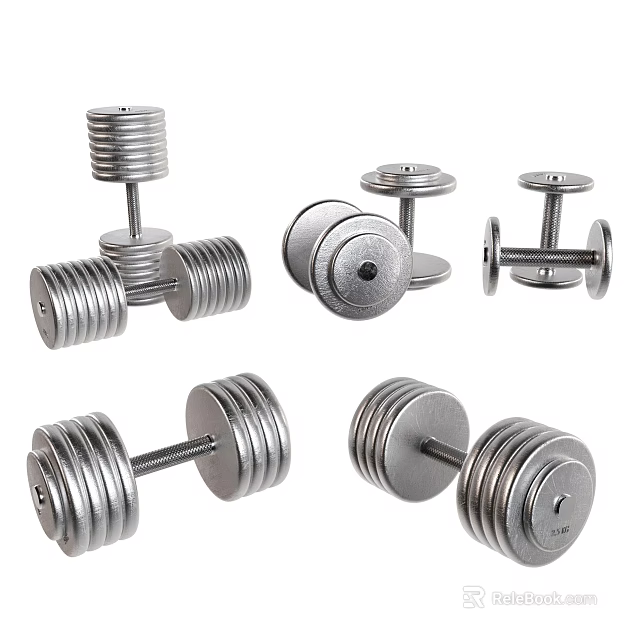 Silver Metal Dumbbells For Fitness Training With Weight Plates And Different Sizes 3d model 