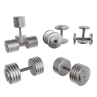 Silver Metal Dumbbells For Fitness Training With Weight Plates And Different Sizes 3d model