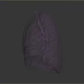 Medical Device 3D Lung Anatomical Model For Healthcare Diagnostic And Training Use
