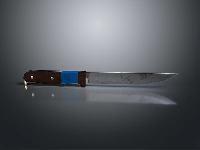 Professional Chef Knife with Silver Blade Brown Blue Handle on Gray Background Flat Surface Reflection 3d model