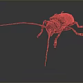 Close Up View Of Beetle With Long Antennae Spotted Exoskeleton Multiple Legs On Gray Background