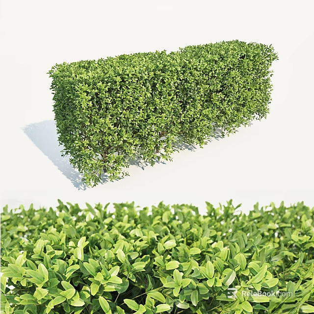 Green Lush Arbor Hedge With Neatly Trimmed Foliage For Garden Landscape Design 3d model 