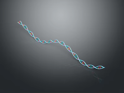Colorful DNA Double Helix Model as Decorative Living Accessory with Blue Red Green Strands 3d model