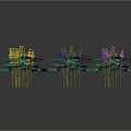 Colorful Decorative Plants With Green Leaves And Red Yellow Purple Blue Flowers In Natural Arrangement