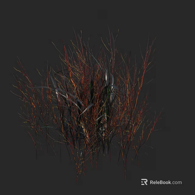 Colorful Grasses With Red And Yellow Stems In Clustered Natural Foliage 3d model 