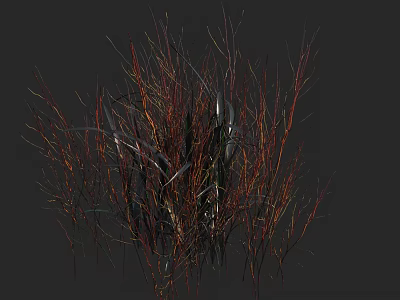 Colorful Grasses With Red And Yellow Stems In Clustered Natural Foliage 3d model
