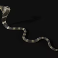 Reptile Cobra Snake With Yellow And Black Pattern On Black Background 3d model