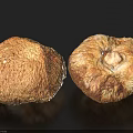 Two Fresh Edible Mushrooms With Natural Brown Beige Texture On Dark Background