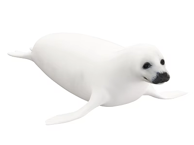 White Seal Pup Swimming with Black Eyes and Nose in Water 3d model