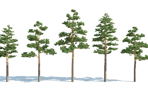 The Modern Tree 3d model