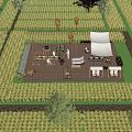 Rural Countryside Landscape With Rice Field Wooden Deck Outdoor Seating And Palm Trees