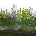 Natural Lush Garden With Green Plants Pink Flowers Tall Herbs Stones And Grass