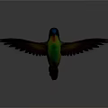 Vibrant Hummingbird with Blue Head and Green Body Spreading Wings in Flight