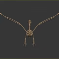 Medical Device Anatomical Skeleton Teaching Model Featuring 3D Printed Bone Structure