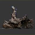 Rustic Wooden Tree Stump Decorative Art With Stone Base And Natural Grain Texture