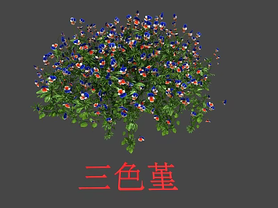 Colorful Pansy Flowers With Blue Red White Petals And Lush Green Leaves In Full Bloom 3d model