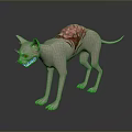 Hairless Cat With Red Fleshy Back Structure And Yellow Menacing Eyes