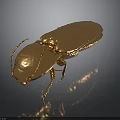 Golden Beetle Featuring Shiny Metallic Texture Detailed Body Structure and Glossy Finish
